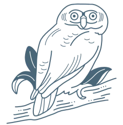 forest-owlet-icon-op
