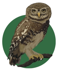 forest-owlet-resources-icon-op