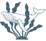 marine-research-conservation-icon-rs