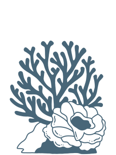 marine-research-coral-reefs-icon-op