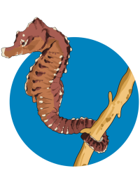 marine-research-resources-icon-op