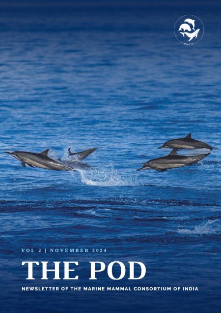 mr-the-pod-vol-2-cover-op