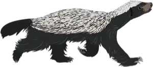publications-ratel-divider-op