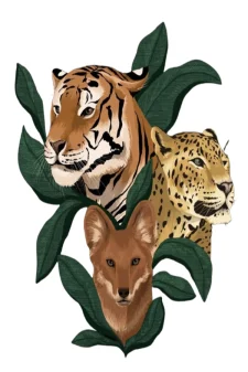 science-of-the-wild-logo