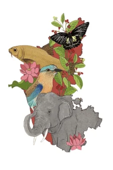 state-symbols-logo